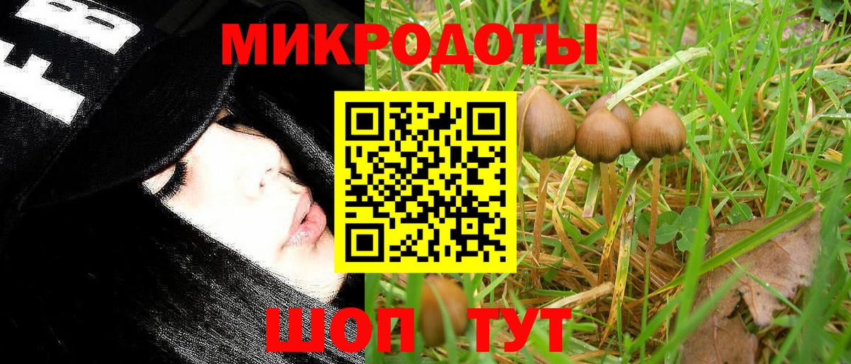 Галлюциногенные грибы Magic Shrooms Саров