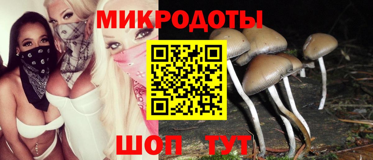 Саров  Галлюциногенные грибы GOLDEN TEACHER  Вход с VPN  Псилоцибиновые грибы Cubensis 